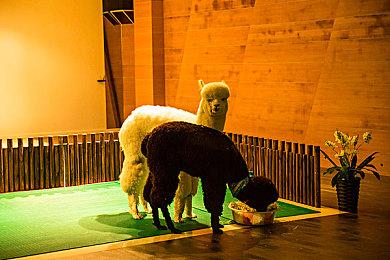 网易在美成立3A级远程工作室 《黑色行动》设计师领导